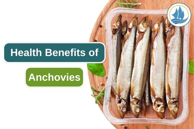 7 Reasons Why Eating Anchovies Is Good for Your Health